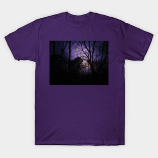 Thunder in a purple sky T-Shirt